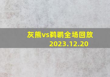 灰熊vs鹈鹕全场回放 2023.12.20